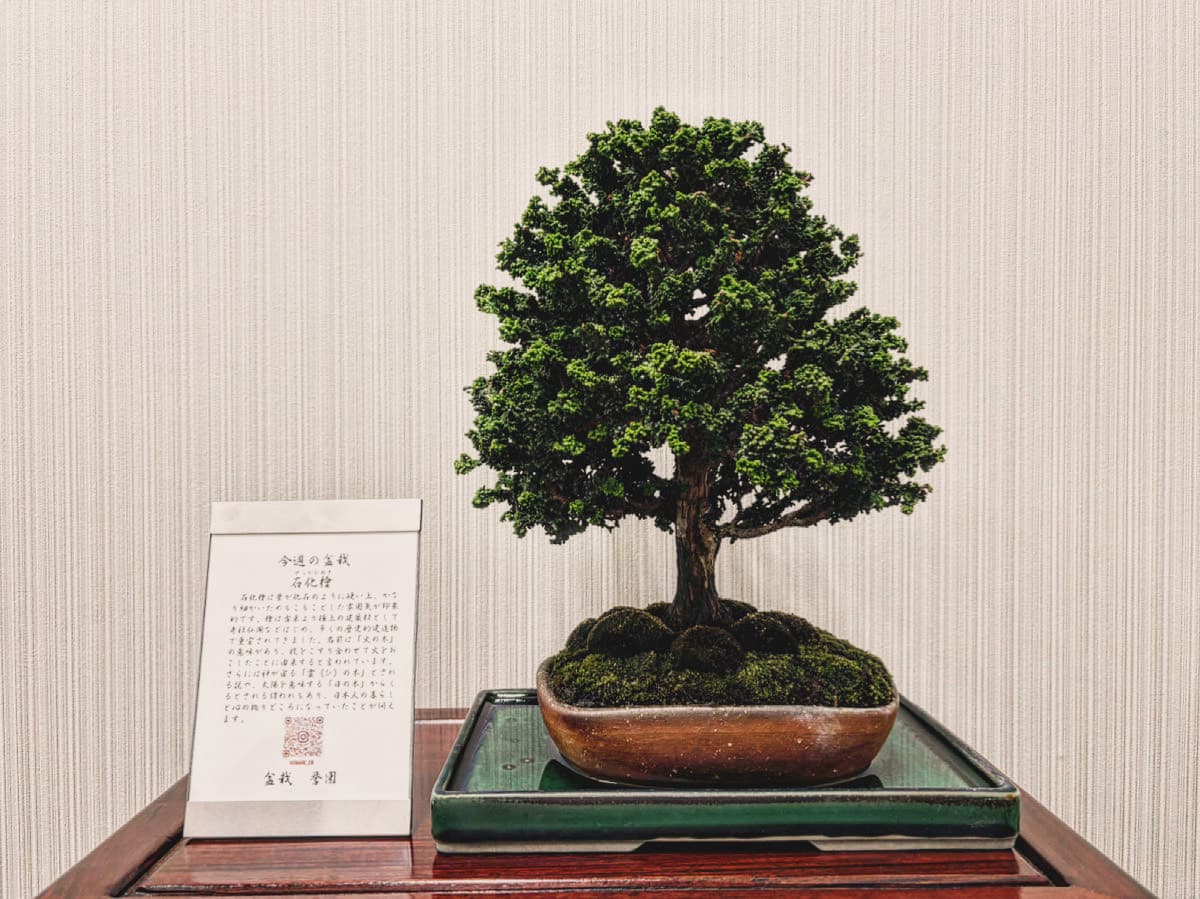 株式会社フロンティアジャパン様