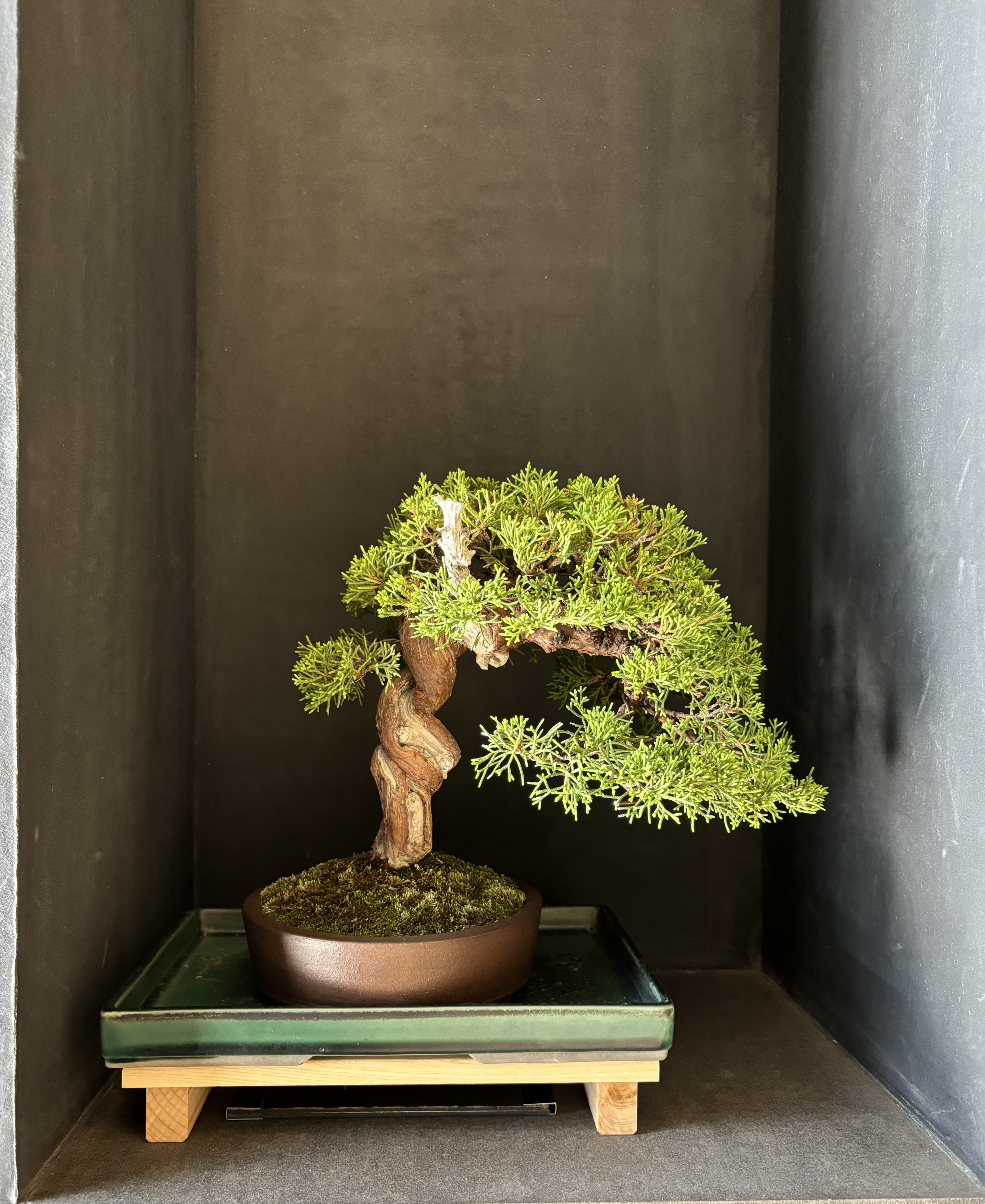 焼肉割烹ノ音様