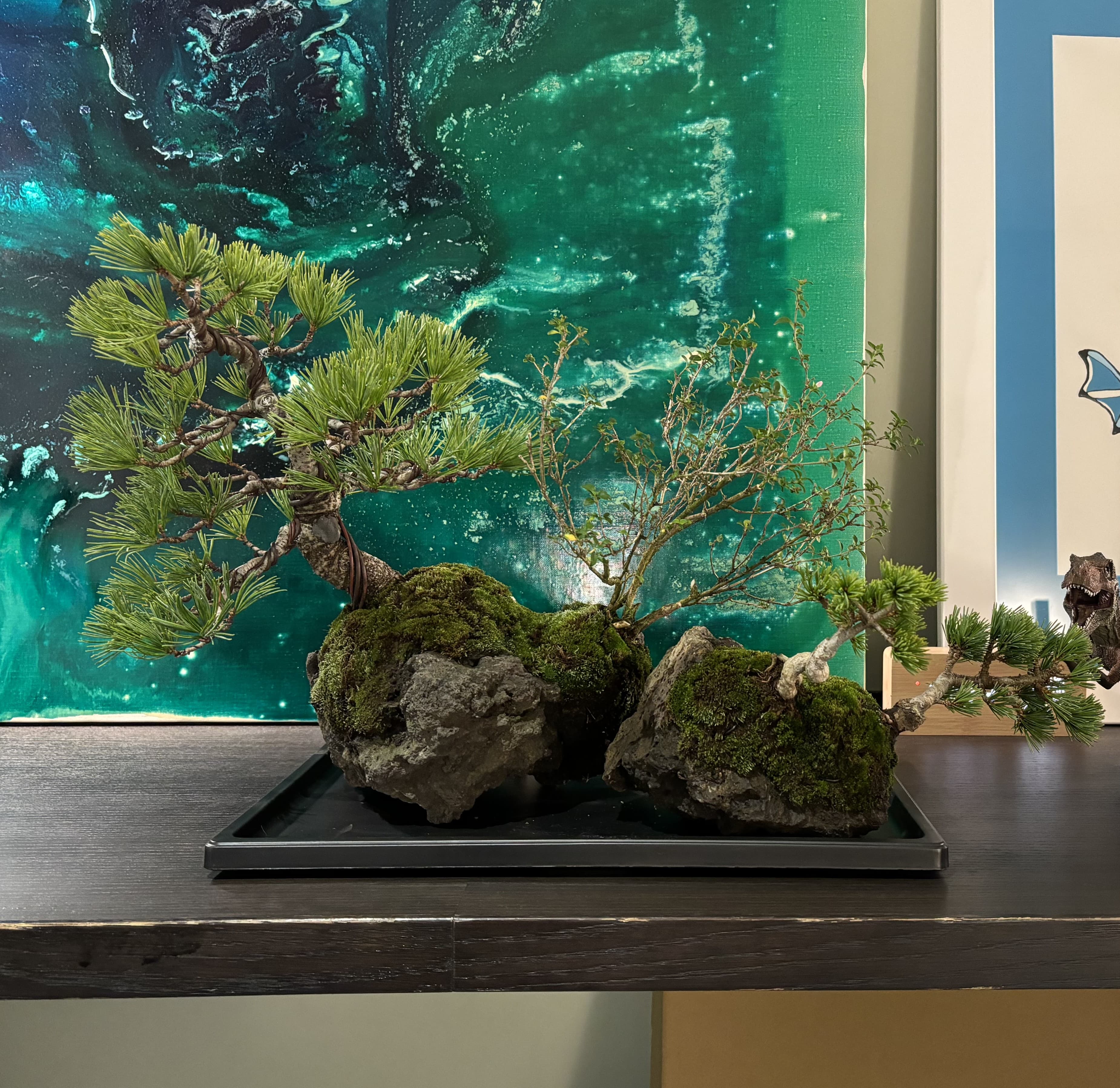 加嶋＆パートナーズ 加嶋仁氏をイメージした盆栽