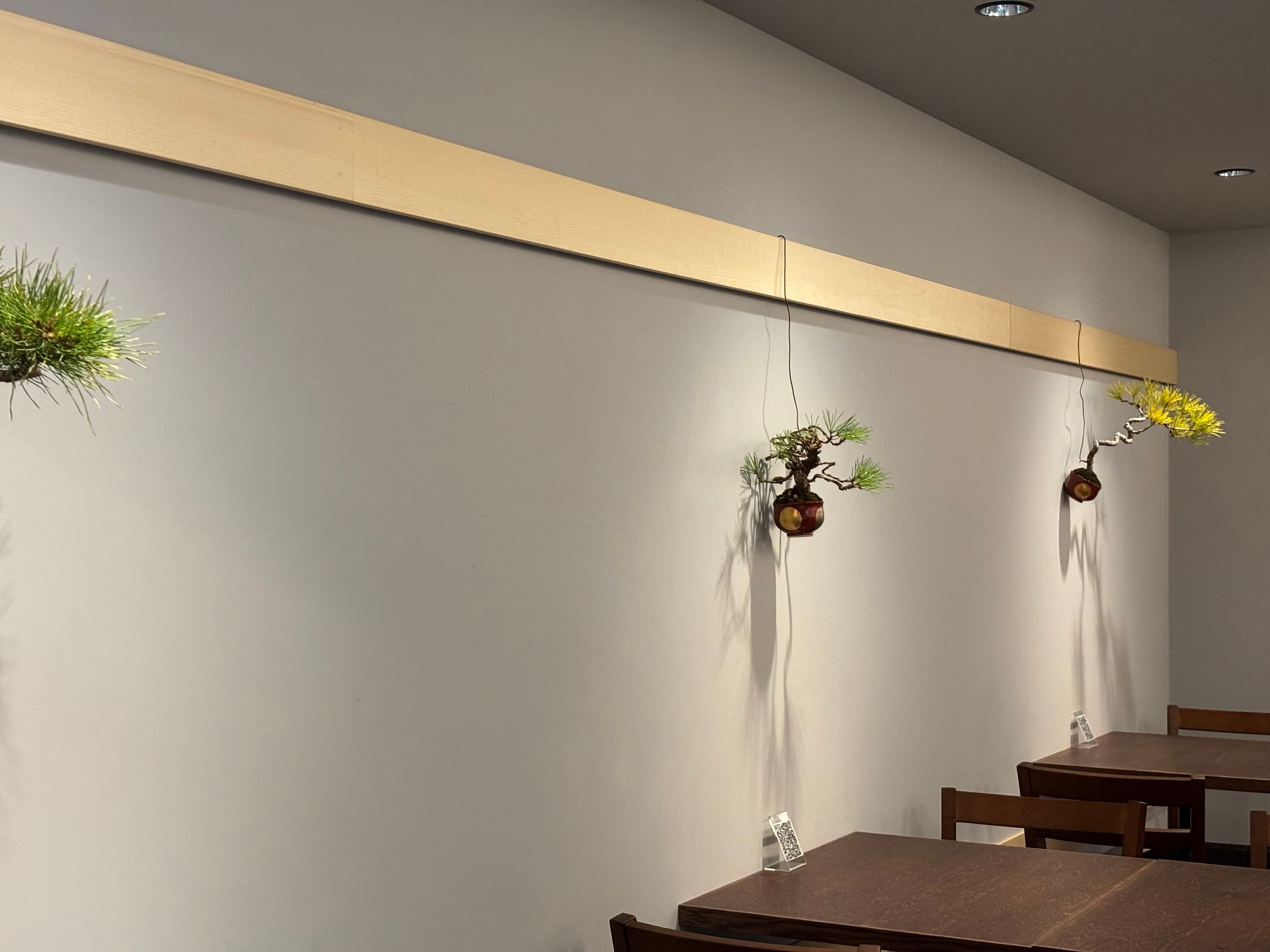 和牛 和雲様 雲上の女松